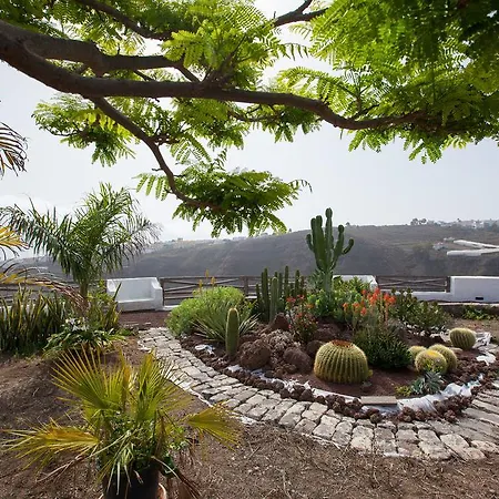Villa Mountain Hideaway House In Moya Moya (Gran Canaria)